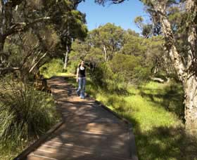 Leschenault Peninsula Conservation Park - Kingaroy Accommodation 0