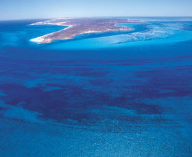 Dirk Hartog Island - Kingaroy Accommodation 0
