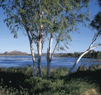 Celebrity Tree Park - Kingaroy Accommodation