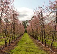 Raeburn Orchards - Kingaroy Accommodation