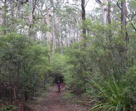 Margaret River Rails Trail - Kingaroy Accommodation 0