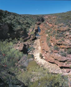 Ross Graham Lookout - Kingaroy Accommodation 0