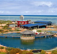 Ocean Park Aquarium - Kingaroy Accommodation