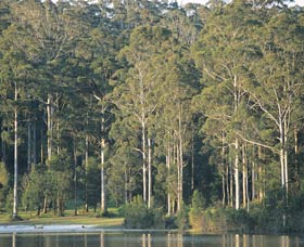 Big Brook Dam - Kingaroy Accommodation 0