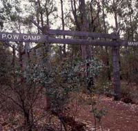 Marrinup Trail Dwellingup - Kingaroy Accommodation