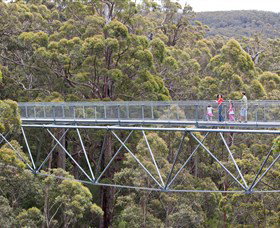 Walpole Wilderness Discovery Centre - Kingaroy Accommodation 0