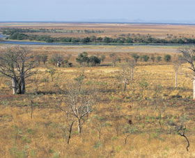 Telegraph Hill - Kingaroy Accommodation 0