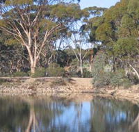 Merredin Railway Dam - Kingaroy Accommodation