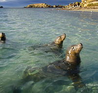 Shoalwater Islands Marine Park - Kingaroy Accommodation
