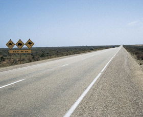 Eyre Highway - Kingaroy Accommodation 0
