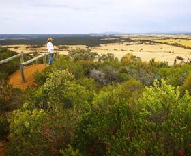 Archer Drive Scenic Drive And Lookout - Kingaroy Accommodation 0