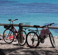 Parker Point Marine Snorkel Trail - Kingaroy Accommodation