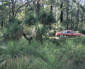 Bridgetown Jarrah Park - Kingaroy Accommodation 0