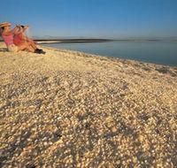 Shell Beach - Kingaroy Accommodation