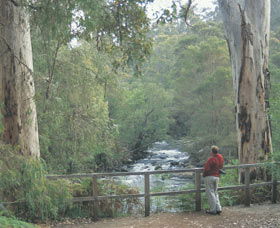 Cascades - Kingaroy Accommodation 0