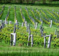 Sienna Estate Winery