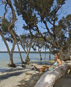 Stokes National Park - Kingaroy Accommodation 0