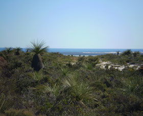 Lesueur National Park - Kingaroy Accommodation 0