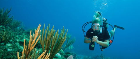 Coastal Water Dive - Kingaroy Accommodation 0