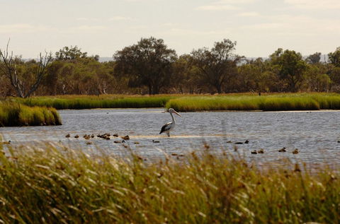 Anytime Adventures In Mandurah & The Peel Region - Kingaroy Accommodation 0