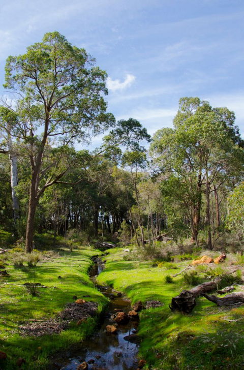 Anytime Adventures In Mandurah & The Peel Region - Kingaroy Accommodation 11