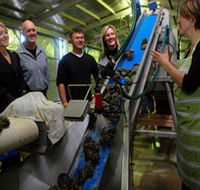 Eyre Peninsula's Seafood Trail - Kingaroy Accommodation