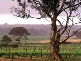 Ashbourne SA Kingaroy Accommodation