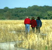 Onkaparinga River Recreation Park - Kingaroy Accommodation
