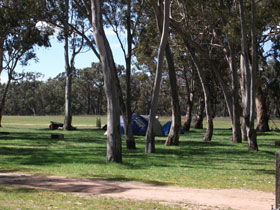 Mount Light SA Kingaroy Accommodation