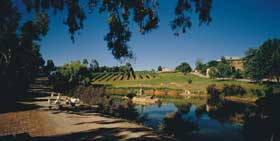 Mount Hurtle Winery Home Of Geoff Merrill Wines - Kingaroy Accommodation 0