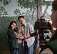 Cleland Wildlife Park - Kingaroy Accommodation