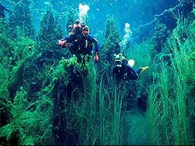 Ewens Ponds Conservation Park - Kingaroy Accommodation 0