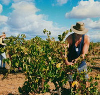 Torbreck Vintners - Kingaroy Accommodation