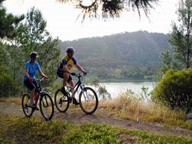 Mount Gambier Crater Lakes Mountain Bike Trail - Kingaroy Accommodation 0