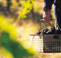 Burge Family Winemakers - Kingaroy Accommodation