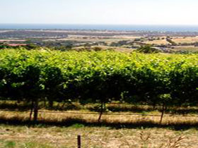 Braydun Hill Vineyard - Kingaroy Accommodation 0