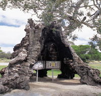 The Herbig Family Tree - Kingaroy Accommodation