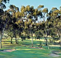 Tanunda Pines Golf Club - Kingaroy Accommodation