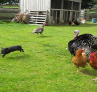 Echo Farm - Kingaroy Accommodation