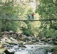 Arve Forest Drive - Kingaroy Accommodation