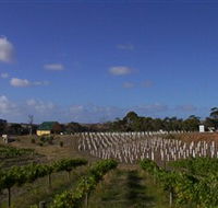 Deep Creek Wines and Alpacas - Kingaroy Accommodation