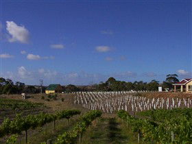 Deep Creek Wines And Alpacas - Kingaroy Accommodation 0
