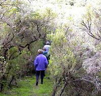Jack And Hilda McArthur Walk - Kingaroy Accommodation