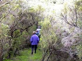 Jack And Hilda McArthur Walk - Kingaroy Accommodation 0
