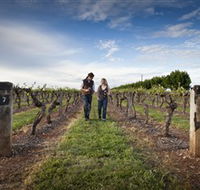 Coonawarra Wineries Walking Trail - Kingaroy Accommodation
