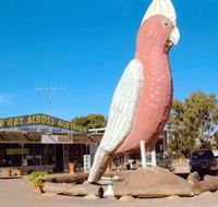 The Big Galah - Kingaroy Accommodation