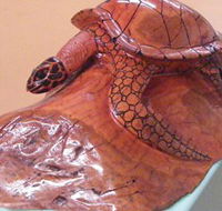 Ants Redgum Gallery - Kingaroy Accommodation