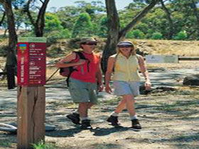 Riesling Trail - Kingaroy Accommodation 0