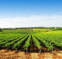Aldinga Bay Winery - Kingaroy Accommodation