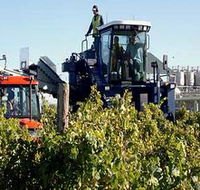 Ballast Stone Estate Wines Pty Ltd - Kingaroy Accommodation